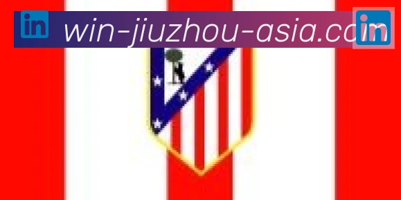 九州体育合作伙伴